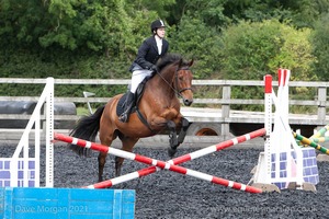 Class 3 -  Fences not above 2'3